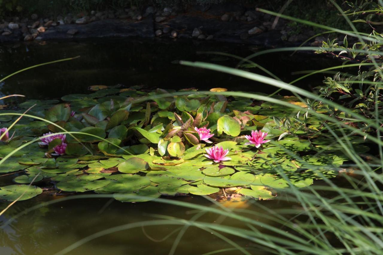 Nagymajor Birding Lodge Tiszacsege Екстериор снимка